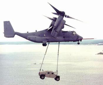 ����ͼ������ӥ�������