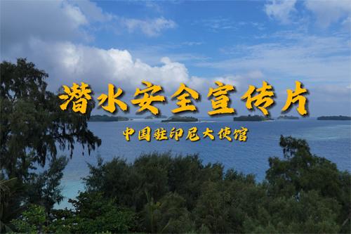 中国驻印尼大使馆发布潜水安全宣传片提醒中国游客关注潜水安全