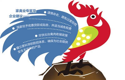 禽流感暂退家禽业受损严重产业升级迫在眉睫
