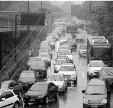 杭州无车日遇台风网上点赞:天天这样就好了(图)